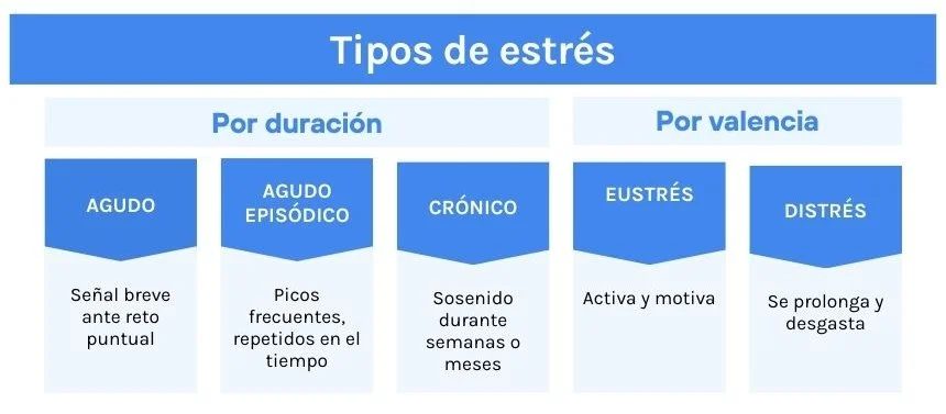 Infografía horizontal de tipos de estrés por duración y valencia: agudo, agudo episódico, crónico, eustrés y distrés